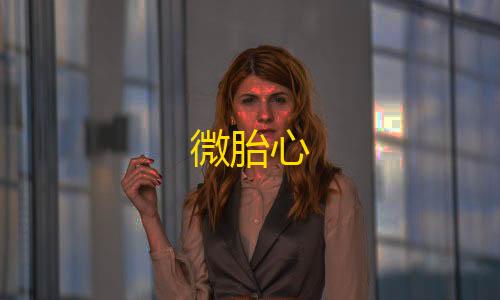 无后坐力辅助微胎心